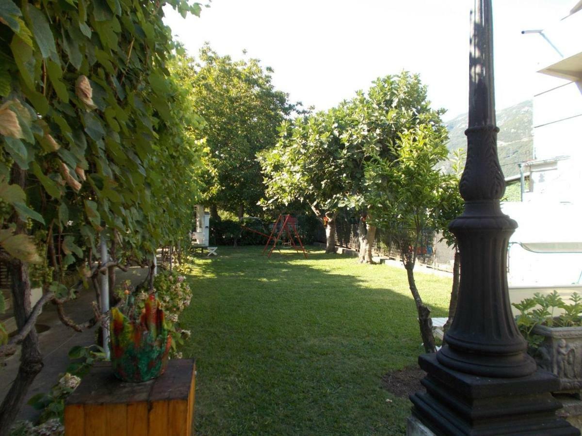 Apartment Ivona Budva